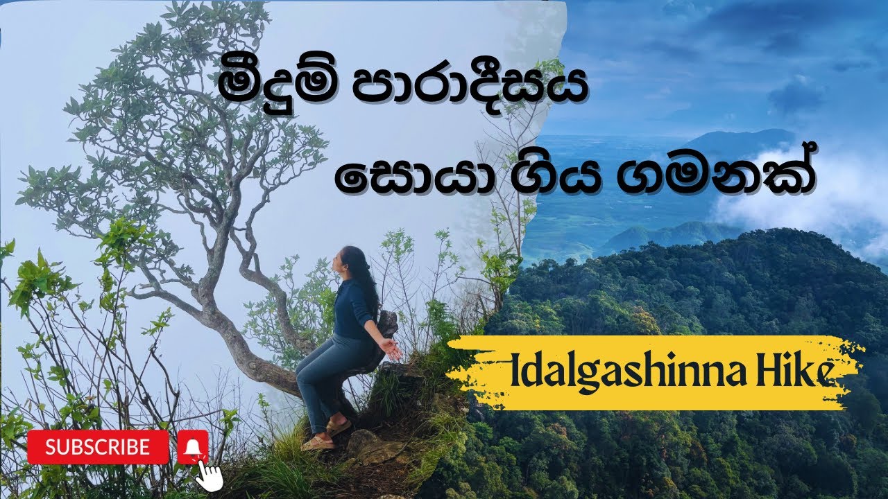 මීදුම් පාරාදීසය සොයාගිය ගමනක්| journey in search of misty paradise| Idalgashinna Hike
