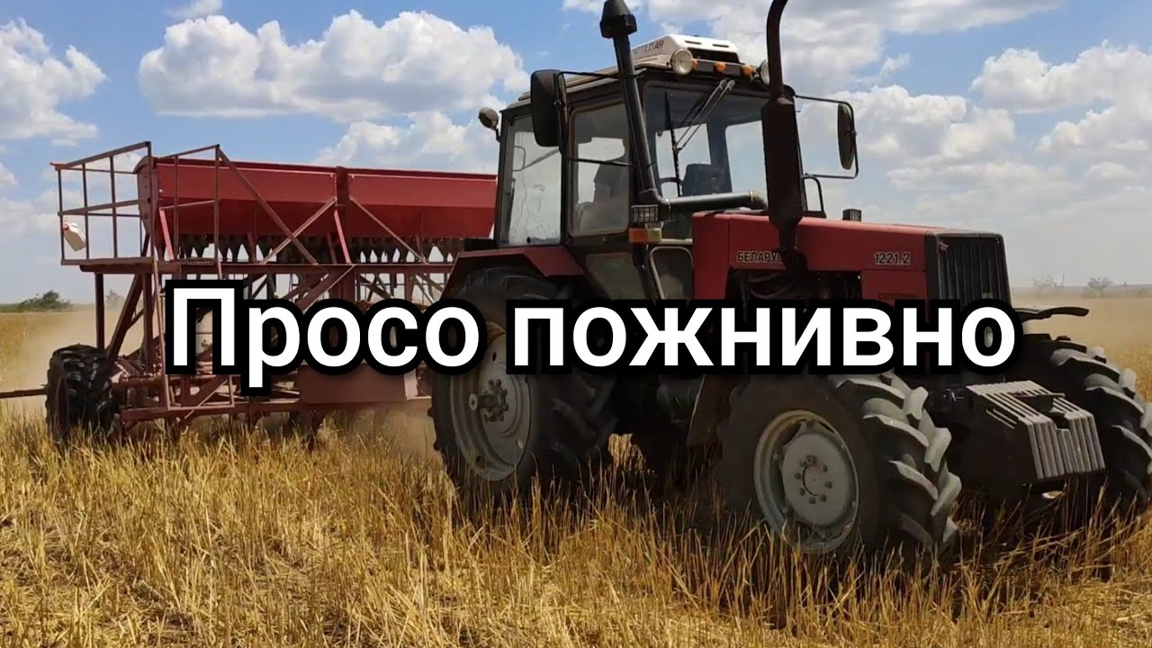 Посев просо пожнивно анкерная vs дисковая сеялка