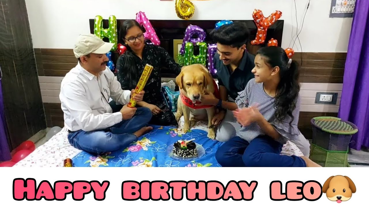 Happy Birthday Leo🐶🎂 | Dog video | Family❤ | Emotional🥺 | Celebration🎉 | Anant rastogi