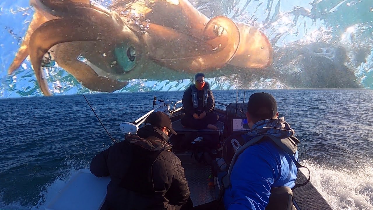Squid fishing Sorrento | Australia | Port Phillip Bay