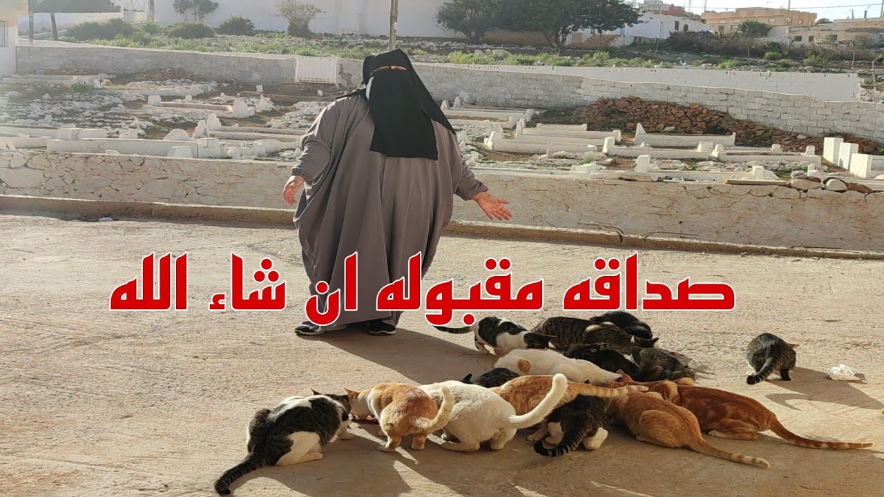 اعز ما عندي هما هذه الحيوانات 💯 البشر غسلت بهم يدي🤣ماشي كاملين ولكن بعد الحشرات