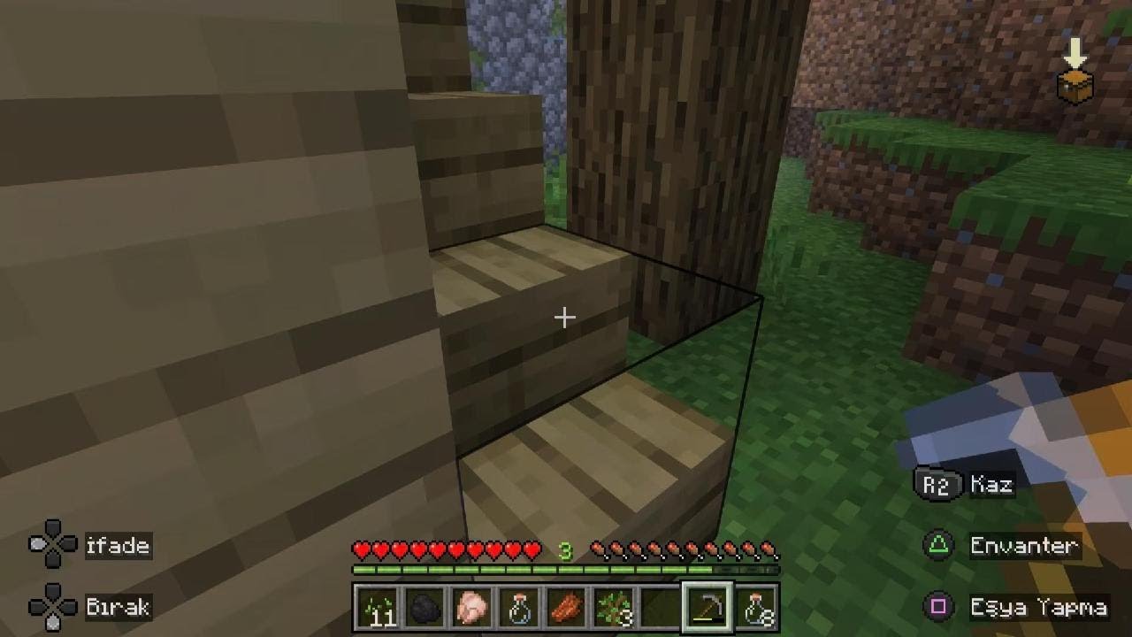 Minecraft_20260124150430