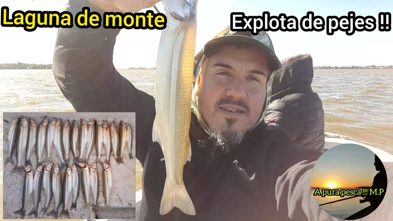 Laguna de monte explota de pejerrey