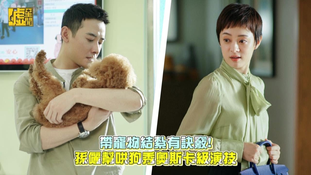 帶寵物結紮有訣竅！孫儷幫哄狗秀奧斯卡級演技