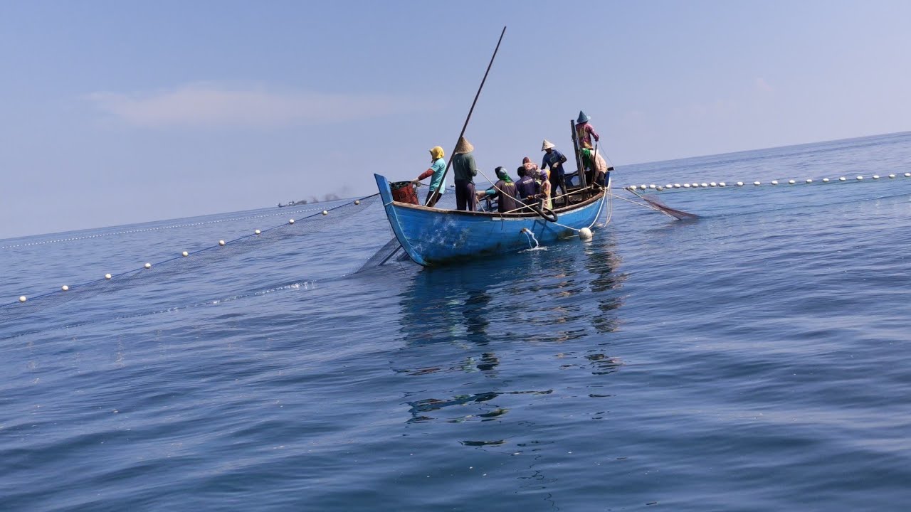 Begini Cara Nelayan Indonesia Menangkap Ikan dengan Pukat Cincin di Laut! #pukatcincin #nelayanindo