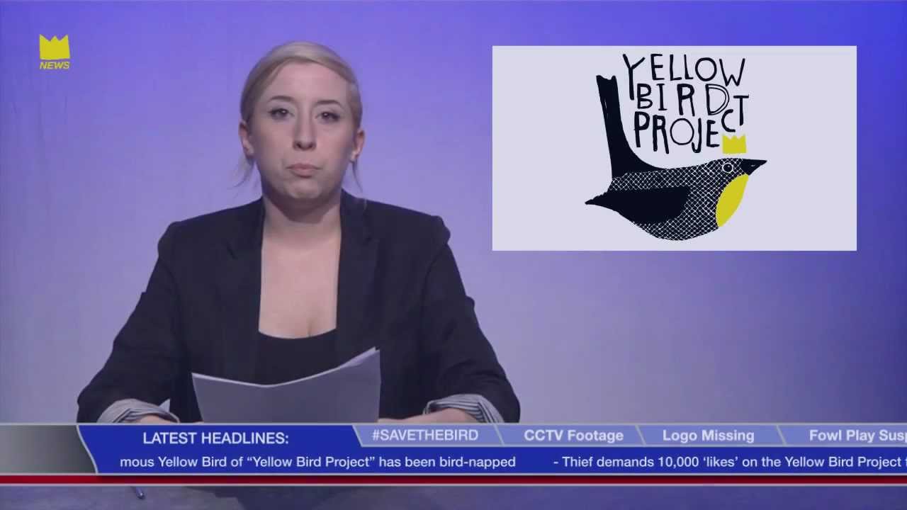 Yellow Bird Project: Bird Gone Missing