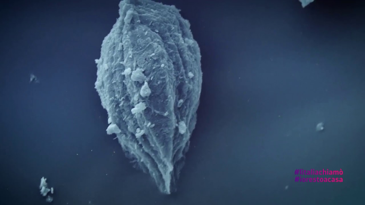 Soprintendenza Archivistica e Bibliografica Emilia Romagna #iorestoacasa