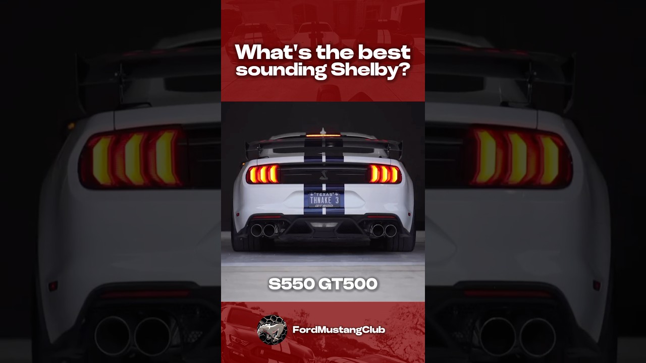 Shelby GT350 vs Shelby GT500! 🏎️