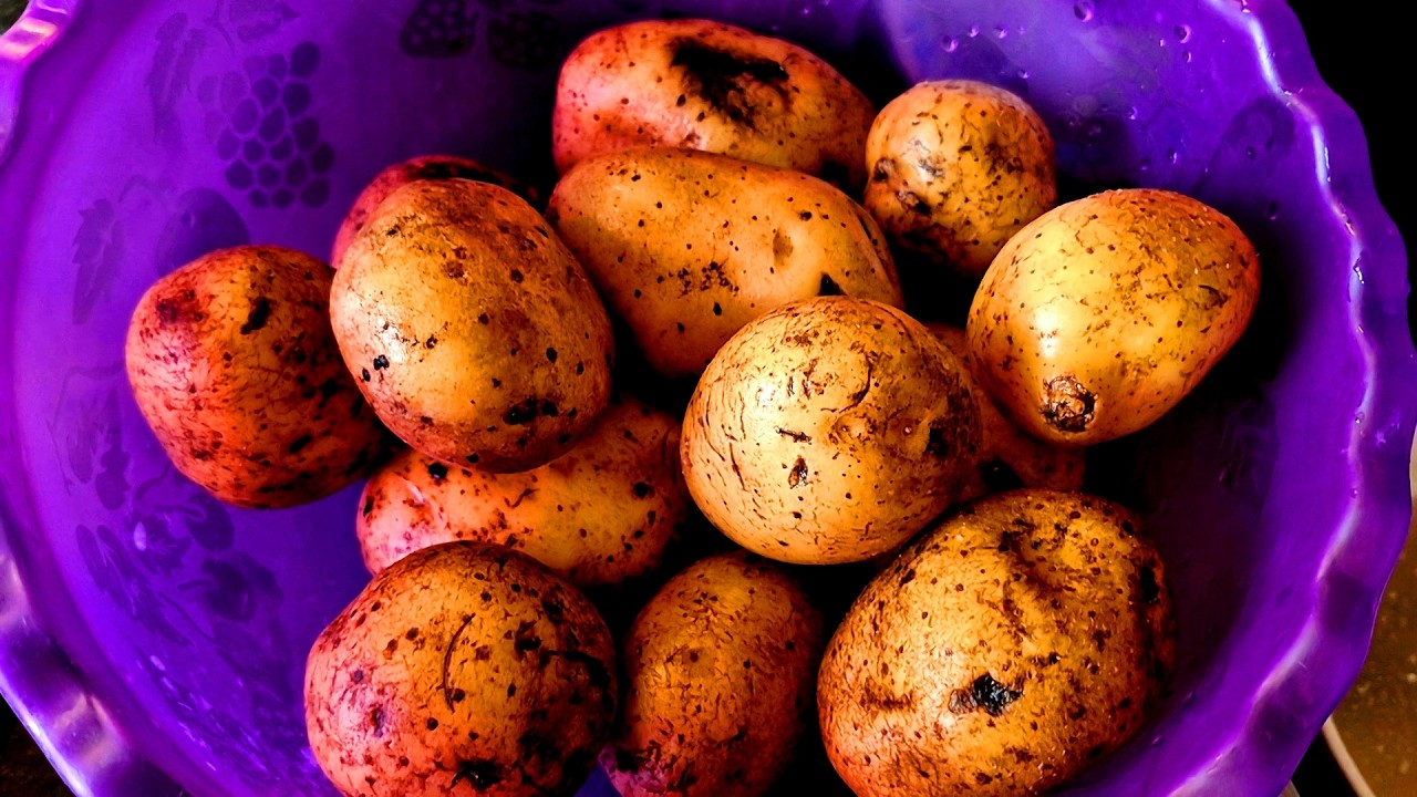 15.03.26 Част.3 // ⏳ВЕЧІРНЯ рутина// 🛒Покупки ПРОДУКТІВ//🍟СМАЖУ картоплю//