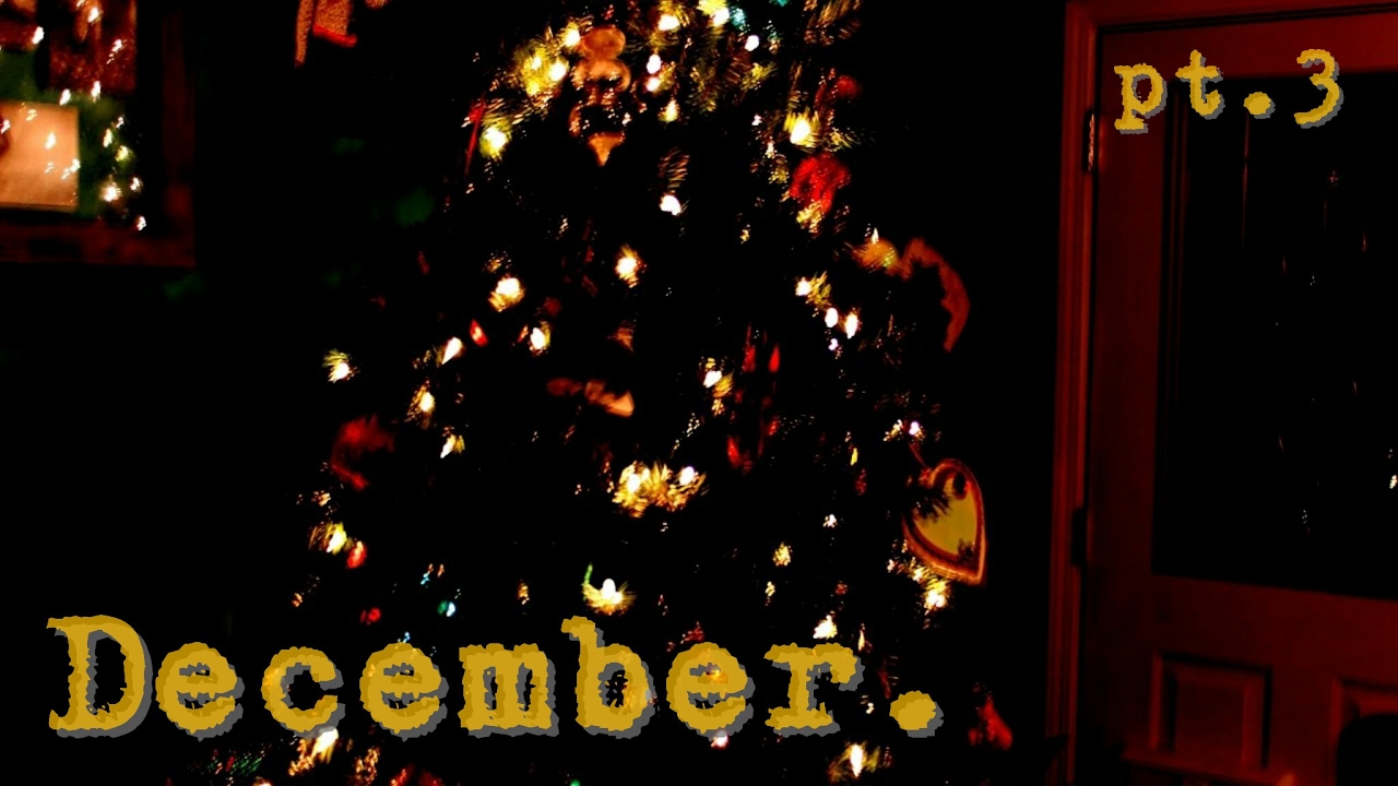 December pt. 3/3 | EF exchange year USA '17