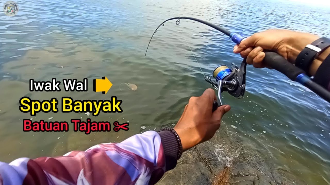 Nggak Di Sangka‼️Bisa Selamat Naikkan Ikan Ini ( Mancing Pinggir Laut ) 