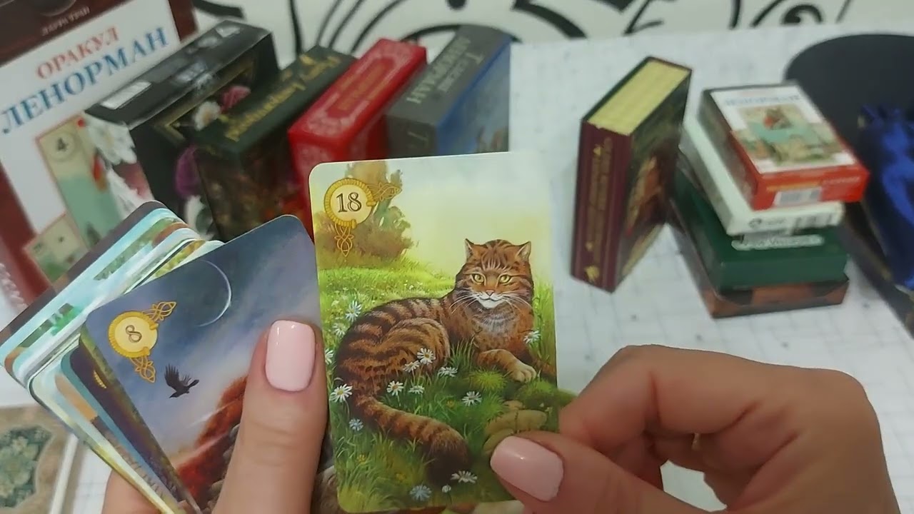 Обзор моих колод 📚💞 поговорим о моих любимых картах и более востребованных ♥️📩🌎