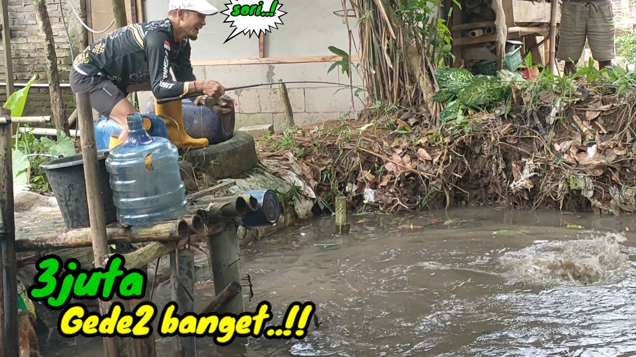 EDYAN...!! Ikan sebanyak itu di pancing 4 orang saja