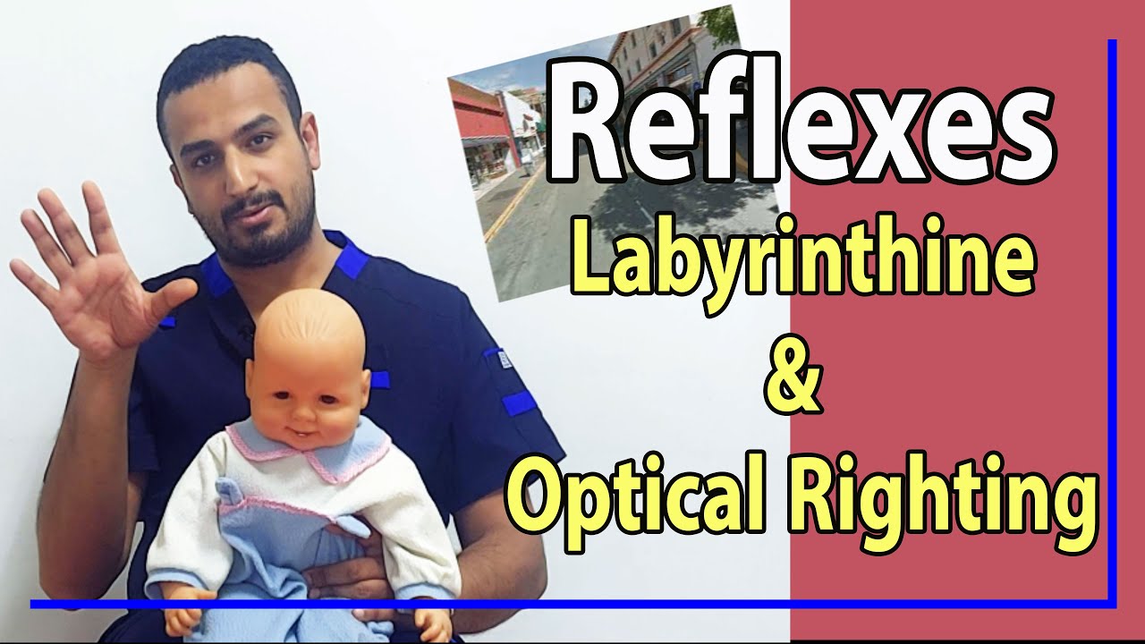 13 Difference between Labyrinthine & Optical Righting
