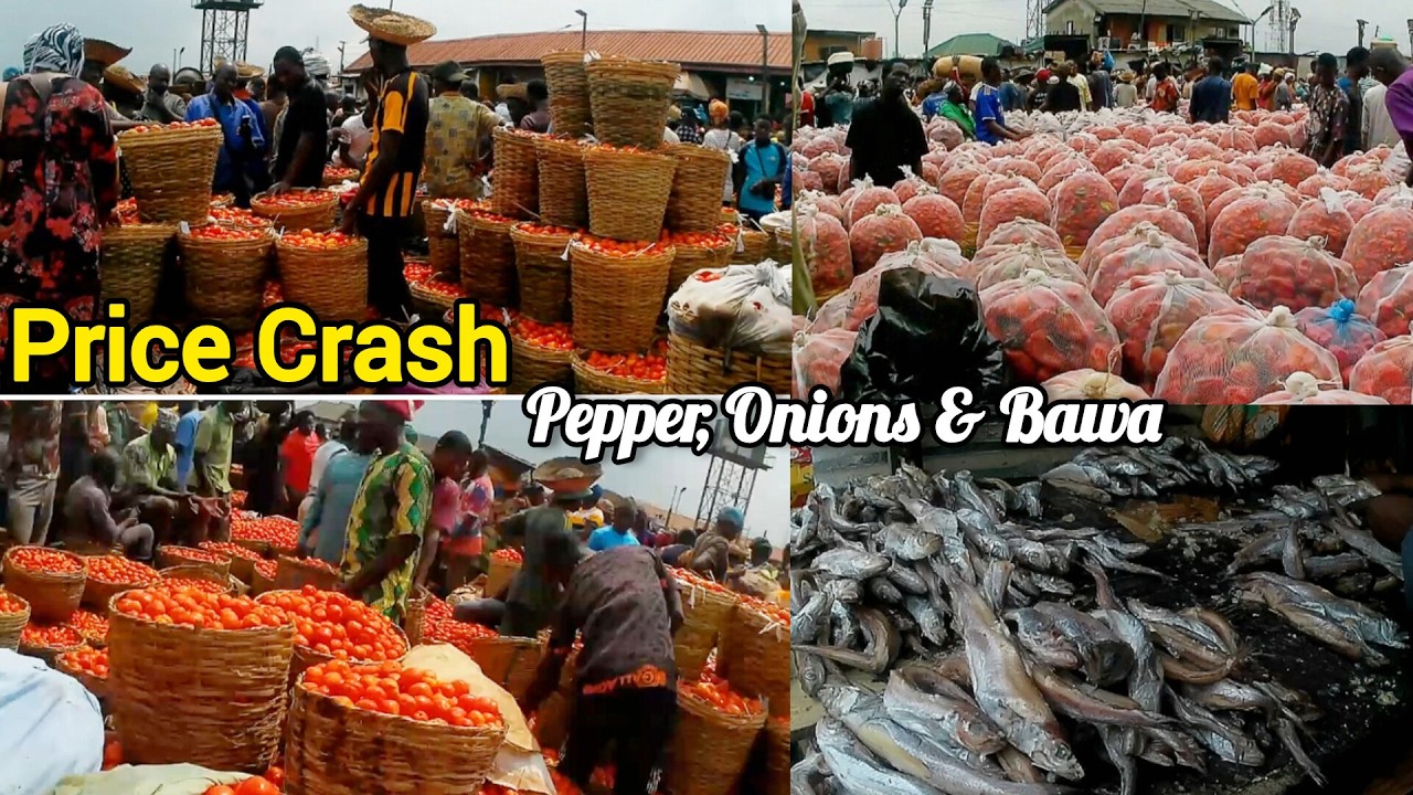 Fresh Pepper, Bawa & Onions Prices Finally Crash In  Mile 12 Market + Hake Fish Carton Price