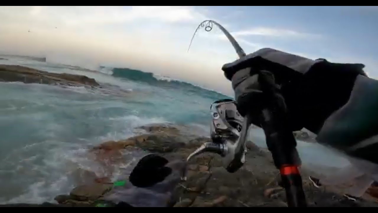 Bluefish on Shimano Stradic FL 5000 | Shimano Stradic FL | Sufix 832 ghost 30lbs | Noeby rod