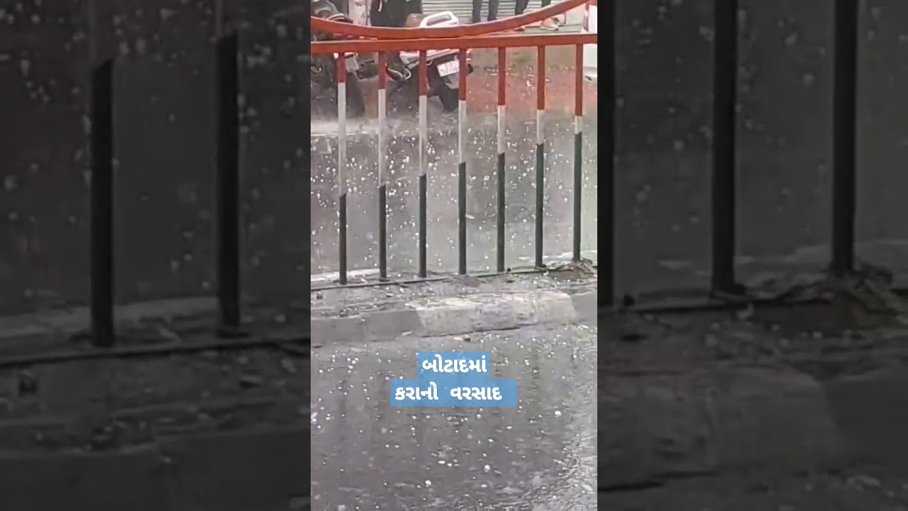 કરાનો વરસાદ #botad #gujrat #mavthu #rain #village #villagelife