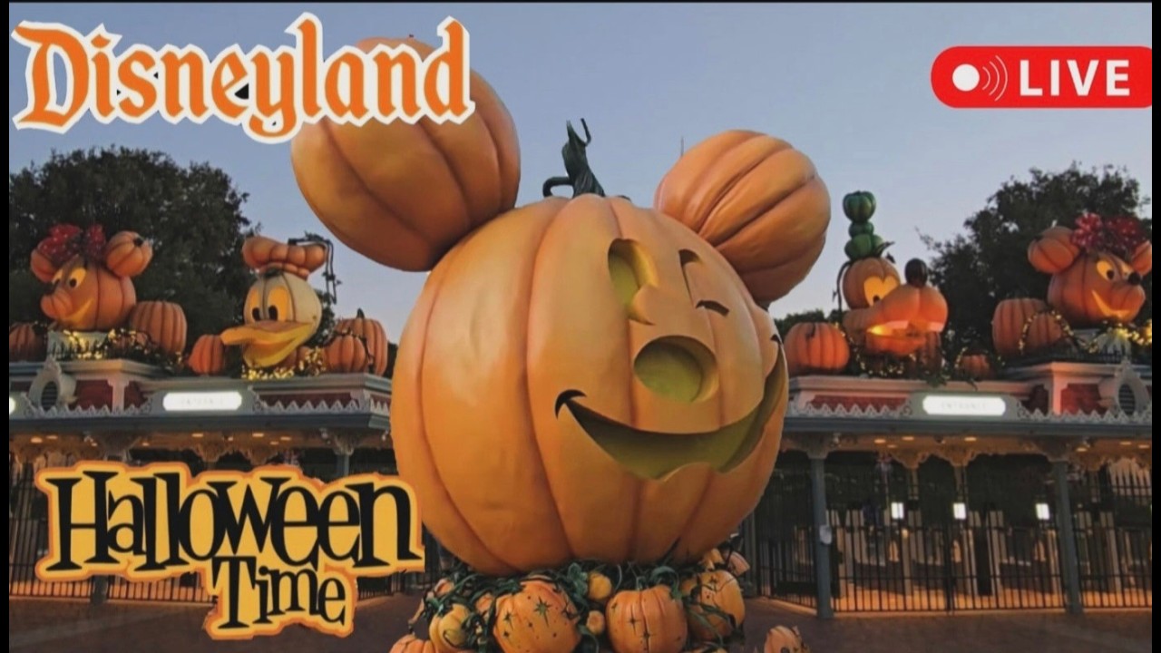 Disneyland Halloween Time Relaxing Fun Rides Shows #livestream