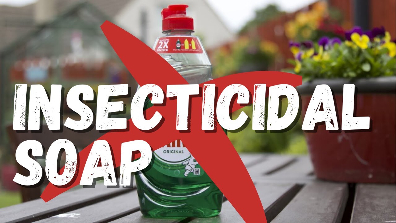 Insecticidal soap: clearing up the confusion about dish soap