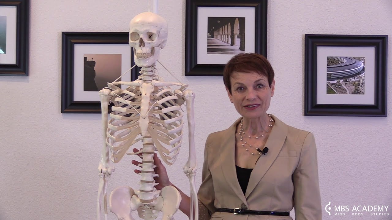 Skeleton Overview