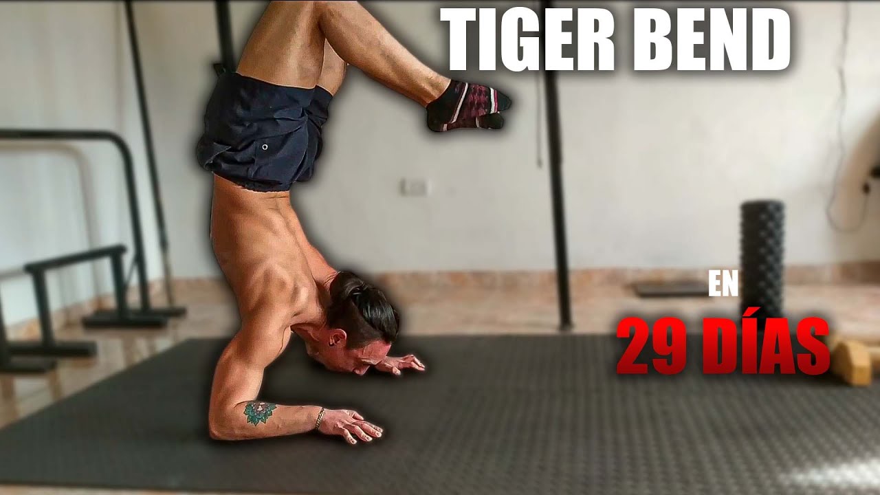 As&iacute; LOGR&Eacute; el TIGER BEND EN 29 D&Iacute;AS