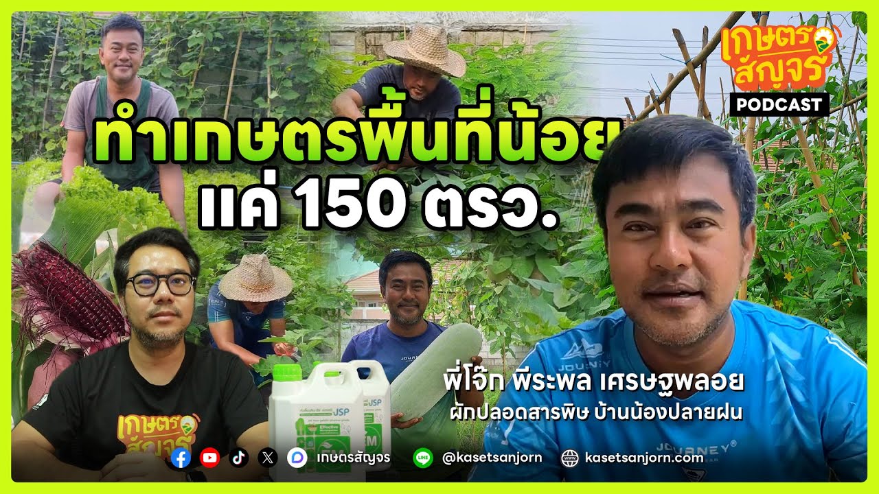 เกษตรยุคใหม่ พื้นที่น้อยก็ทำได้! เทคนิค 150 ตารางวา สร้างรายได้อย่างยั่งยืน | เกษตรสัญจร Podcast