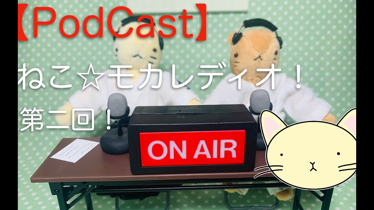 ラジオ　しんとこちゃんねる　ねこ☆モカ　レディオ　第二回！ #合気道 #習い事 #武道