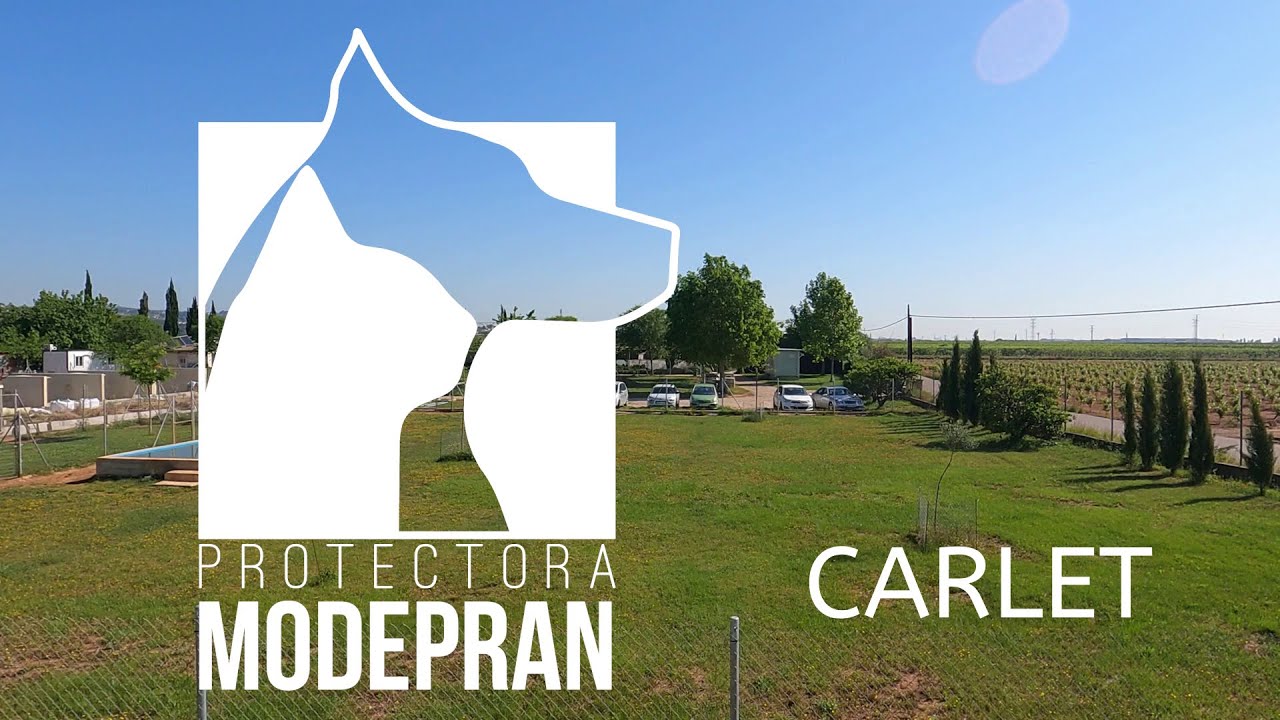 MODEPRAN CARLET