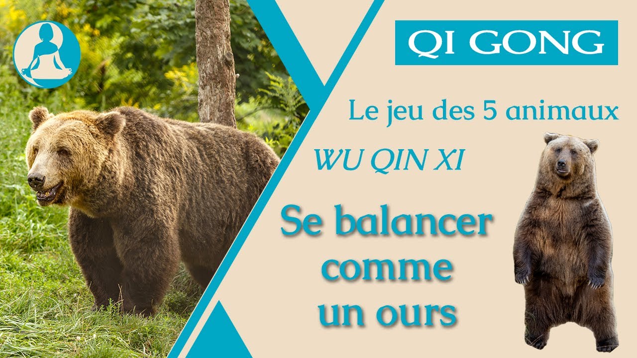Qi Gong : Se balancer comme un ours, le jeu des 5 animaux