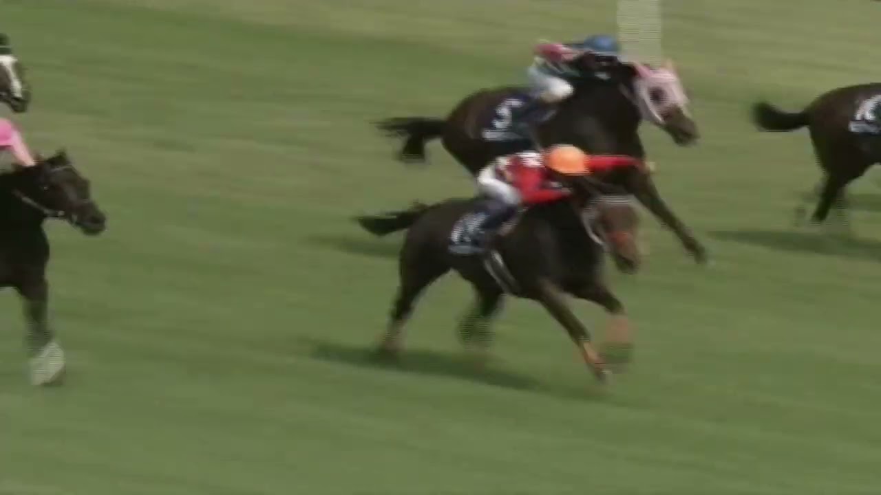 1999年　安田記念　エアジハード