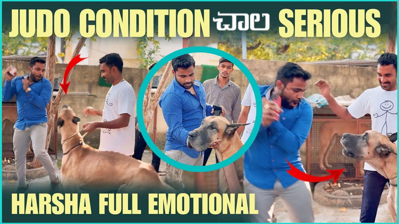 JUDO CONDITION చాల SERIOUSHARSHA FULL EMOTIONAL | Pareshan Harsha