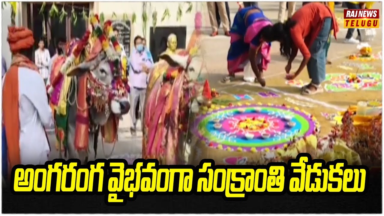 Sankranthi celebrations in grandeur | Sankrathi | Raj News
