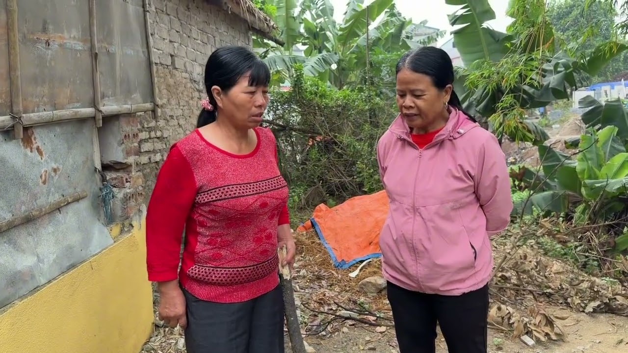 Mụ Liên Cay Cú Hảo Gọi Điện Mua Thuốc Về Hại Bố Con Sỹ 