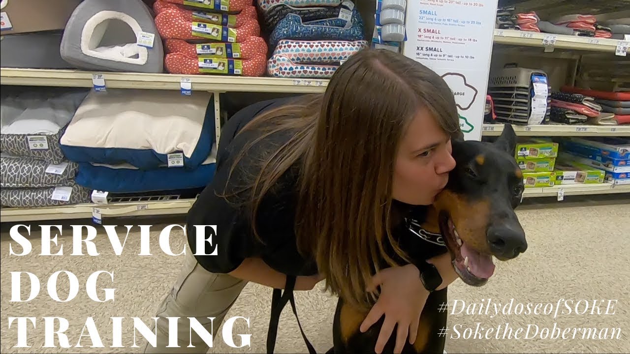 Soke the Service Doberman// Service Dog Training