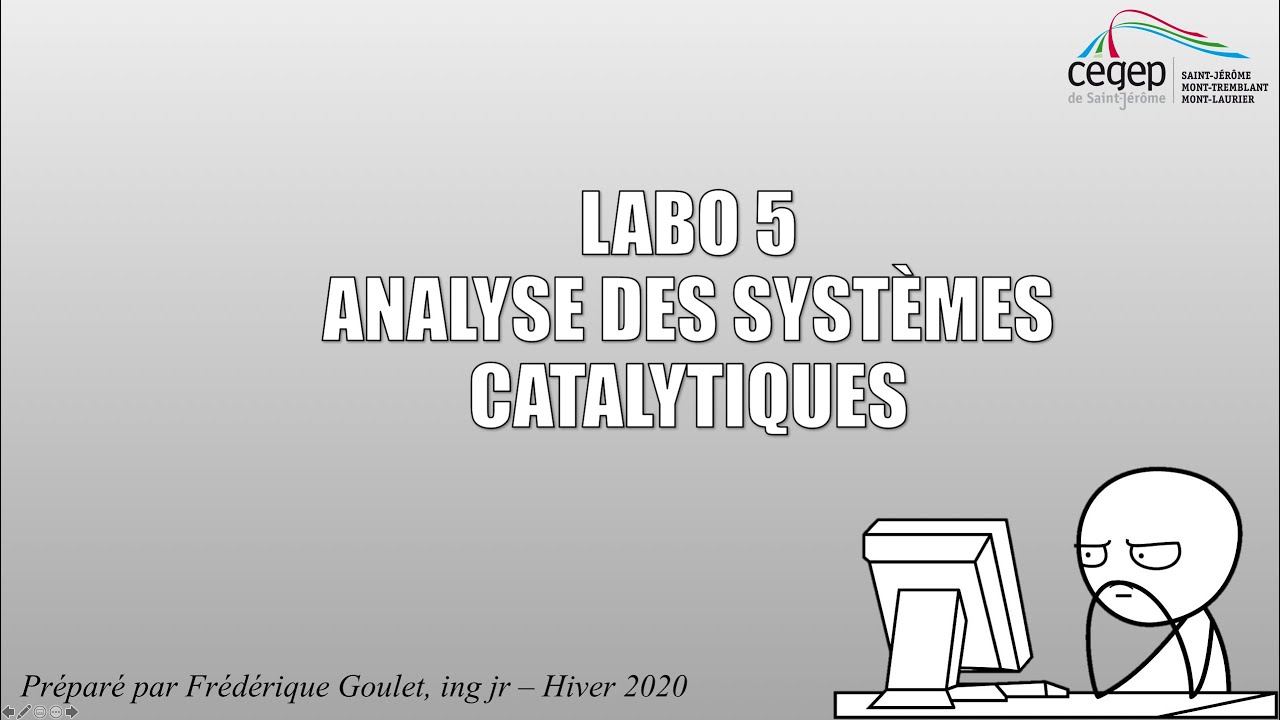 FDM - Laboratoire 5 - L'analyse des Systèmes Catalytiques