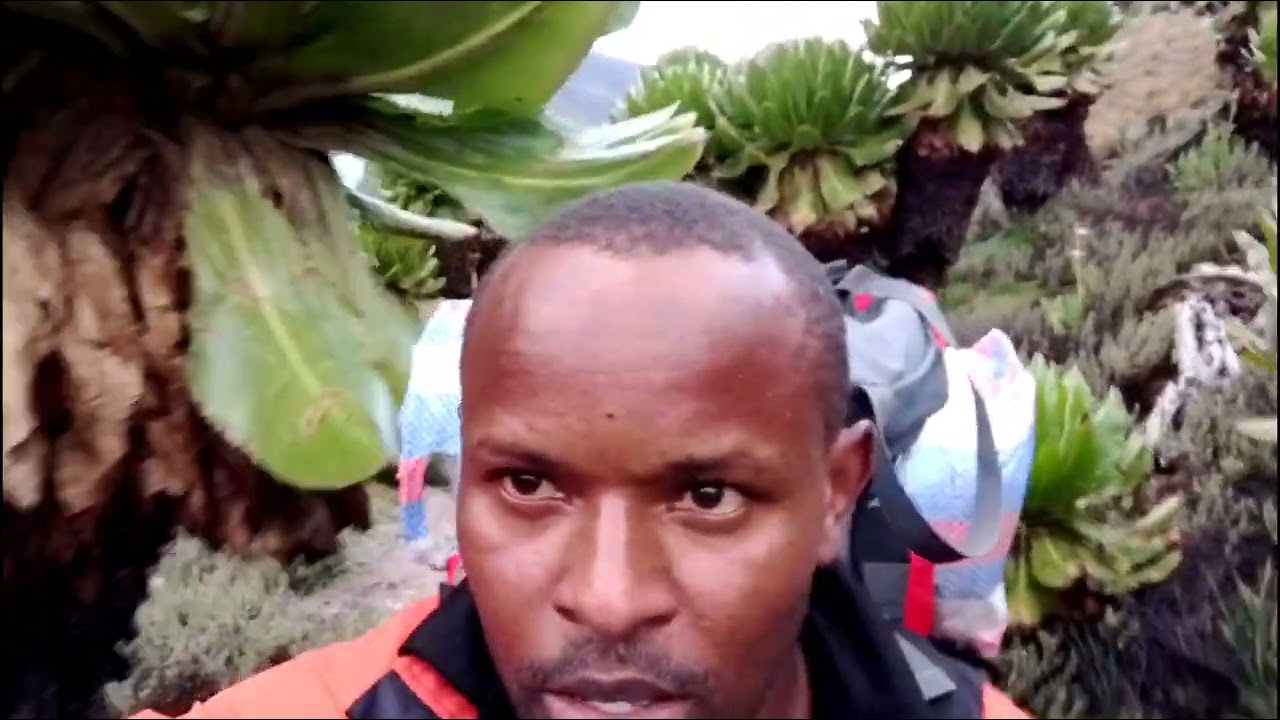 Hiking Mt Kenya via Sirimon route