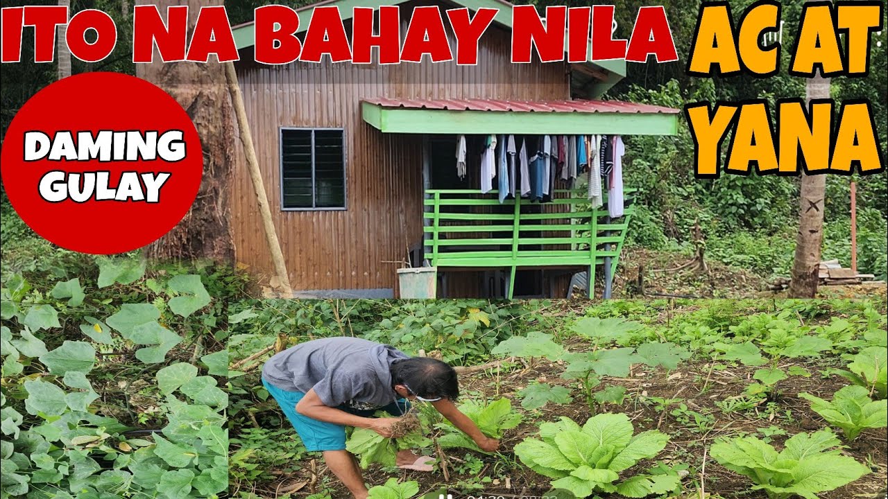 🔴BAHAY KUBO KAHIT MUNTI
