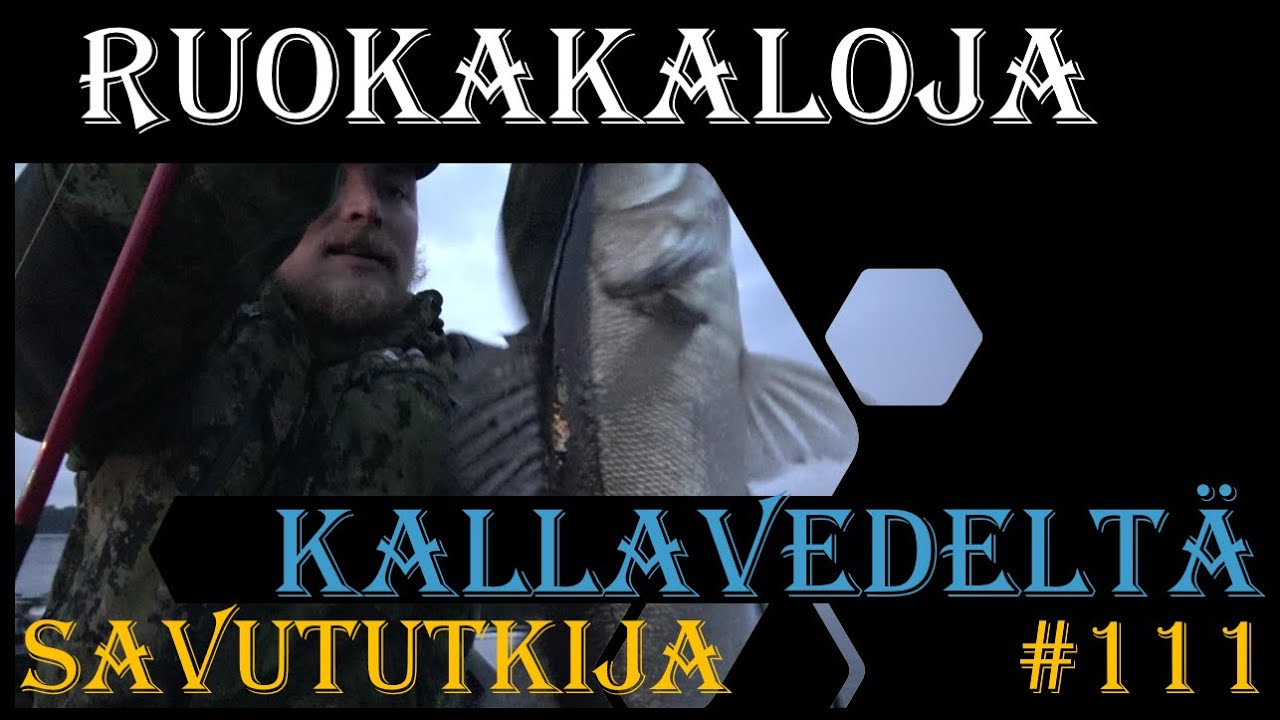 Ruokakalojen kalastusta Kallavedeltä - Kuhan jigausta liveluotaimella