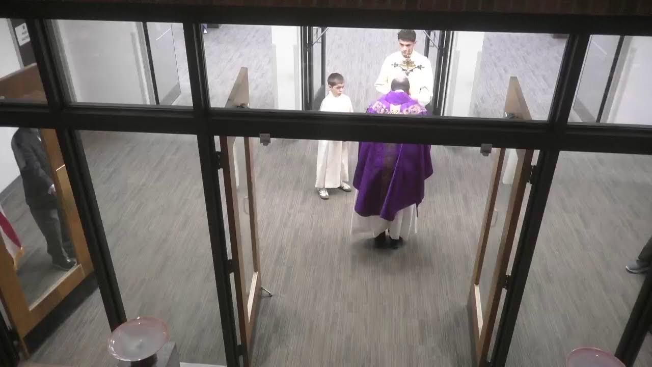 Live Stream