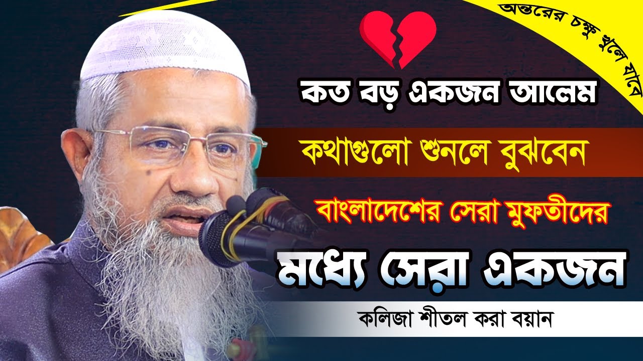 কত বড় আলেম কথাগুলো শুনলে বুঝবেন | Mufti Delwar Hossain | আল্লামা মুফতি দিলাওয়ার হোসাইন