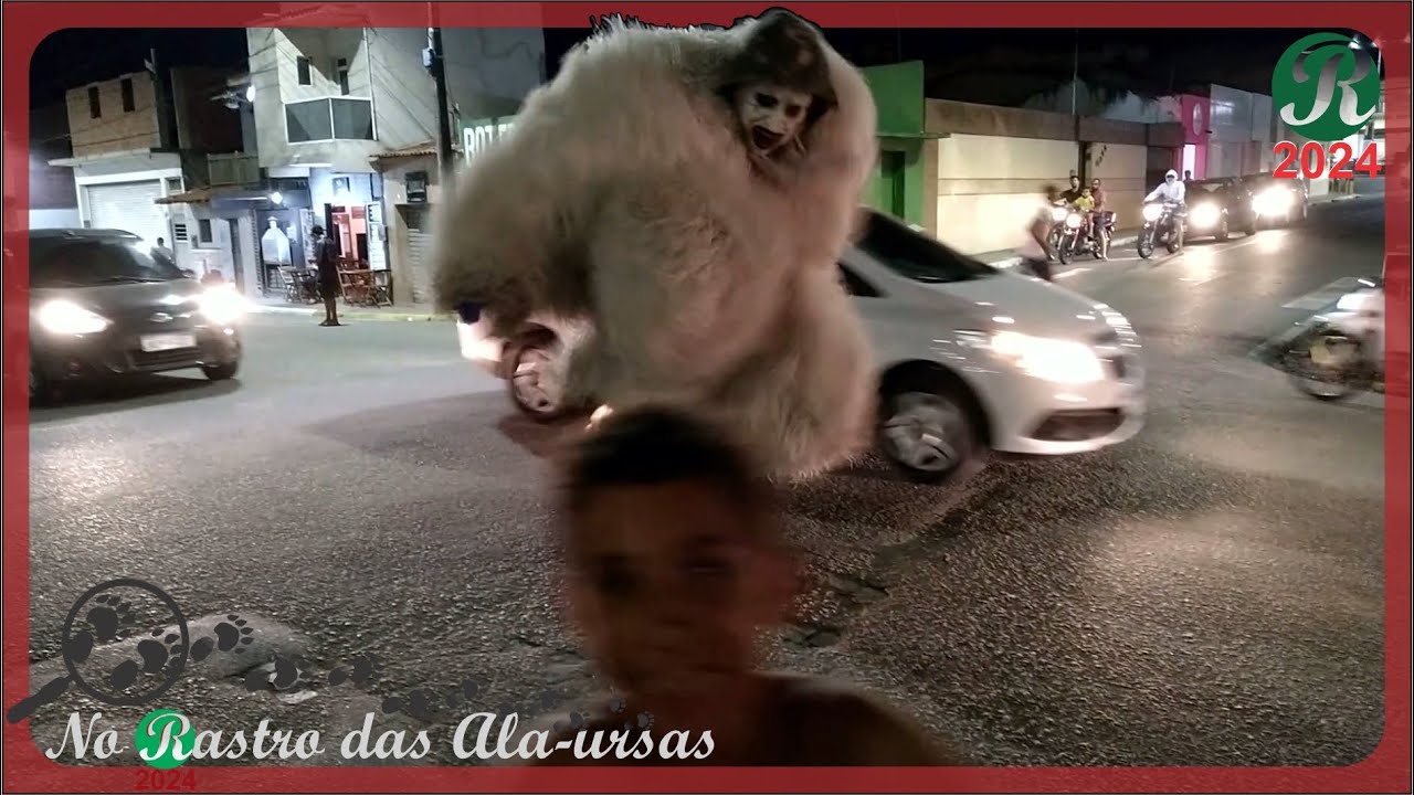 Ala-ursa 2024.33 | No Rastro das Ala-ursas | 0102