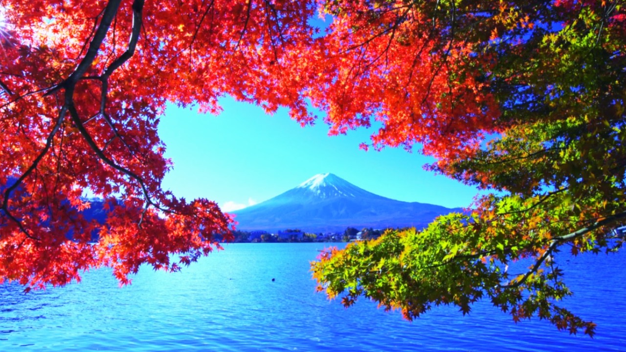 Stunning Colors of Autumn – A World of Calm and Beauty
