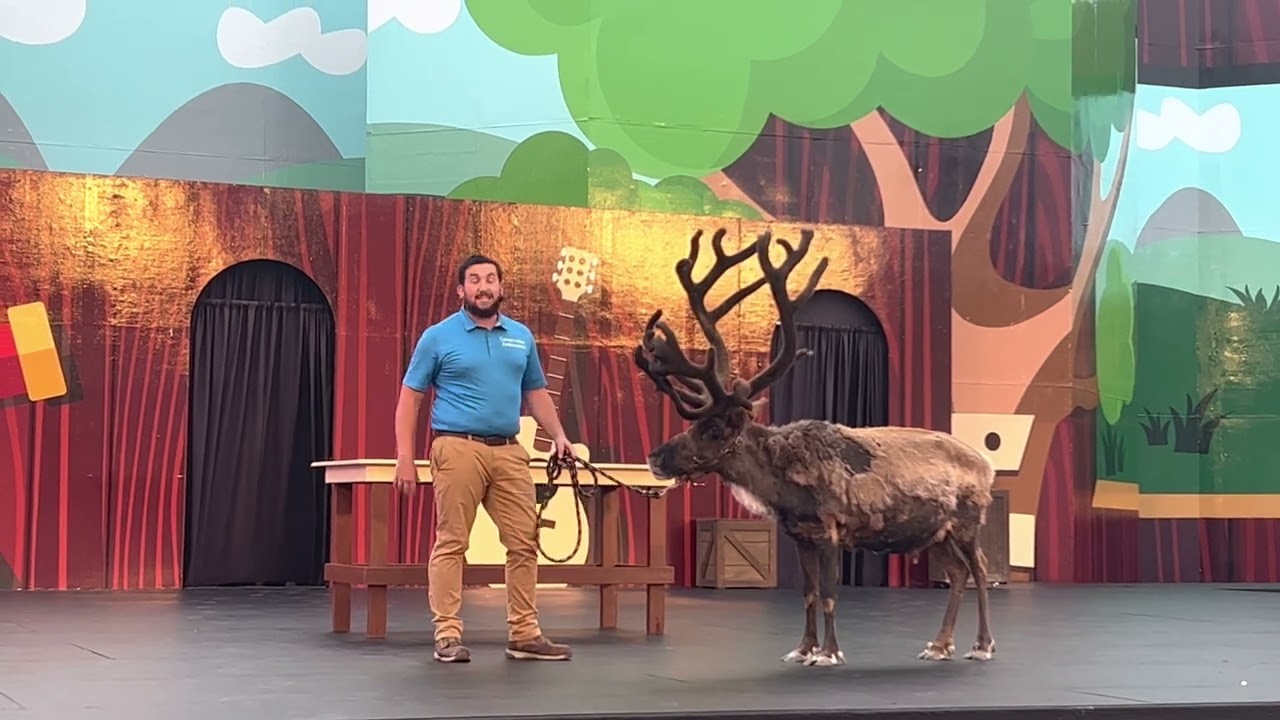 Feathers, Scales and Rescue Tales for First time view Sea World Summer 2023 with Gary performing