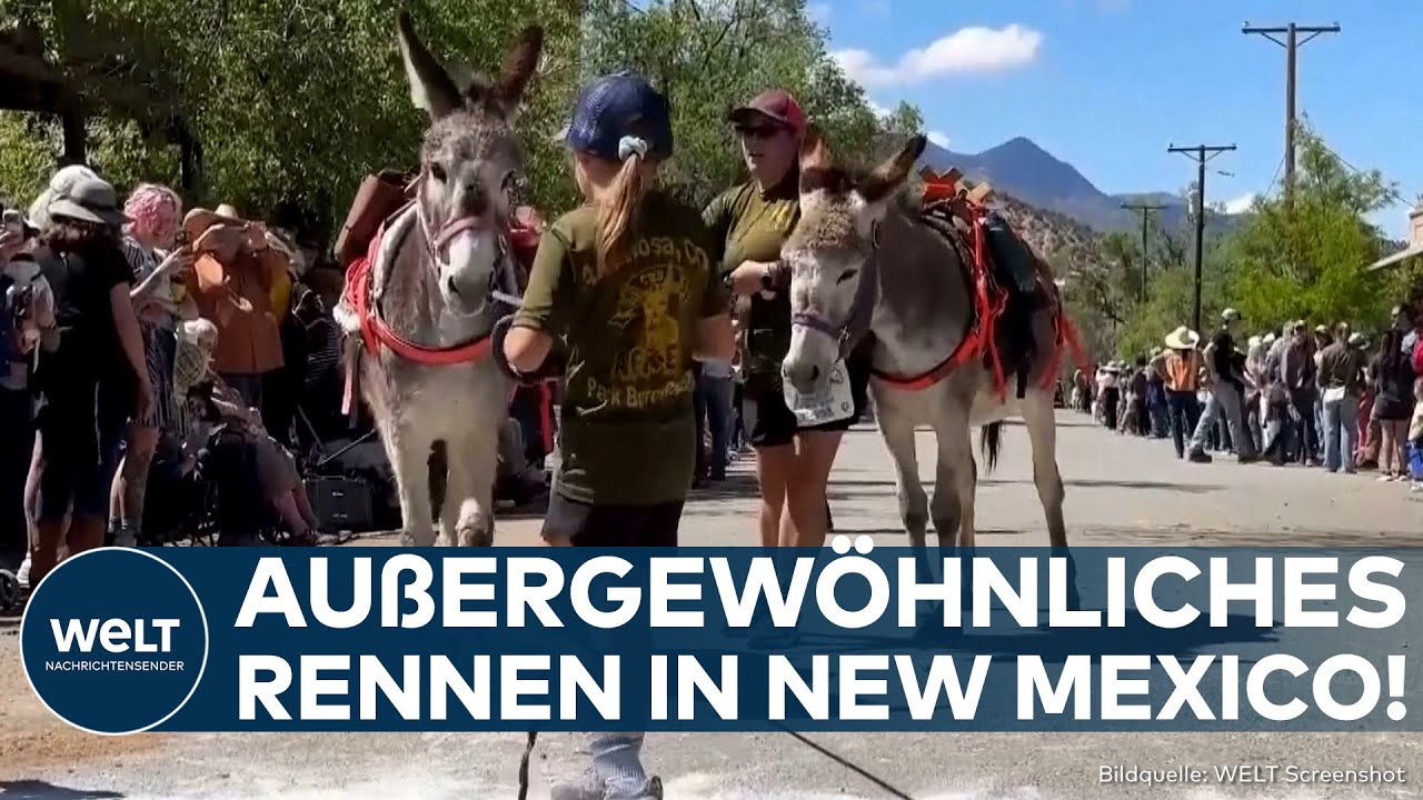 BURRO RACE: Packende Momente in der W&uuml;ste! Menschen und Esel durchlaufen Parcours durch die Wildnis!