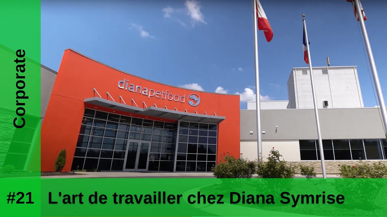 L'art de travailler chez Diana Symrise