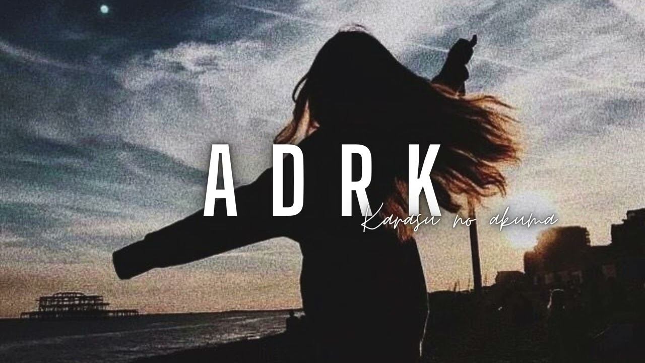 ADRK x HIGH HOPES - Gabriela Bee & Walk Off The Earth ( REMIX NEWCAL 2024 )