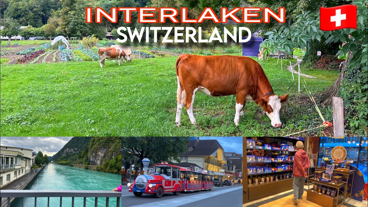 Interlaken Switzerland🇨🇭| Walking in the beautiful Swiss Town | Road Trip🚙 2025 | Part 4