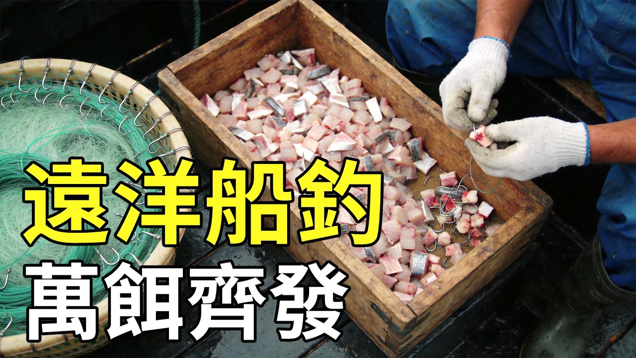 揭秘深海延繩釣：1次拋下萬枚魚鉤，這場大洋狩獵的真實魚獲究竟有多驚人？#遠洋捕撈#延繩釣#深海魚獲#硬核船釣