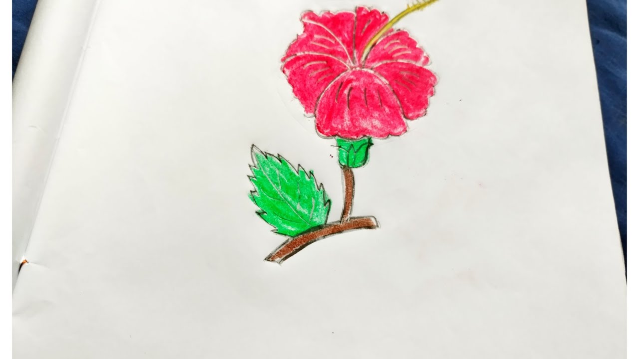 How draw a China rose  step by step easy drawing.... 🌺🌺🌺🌺 art video,, জবা ফুল