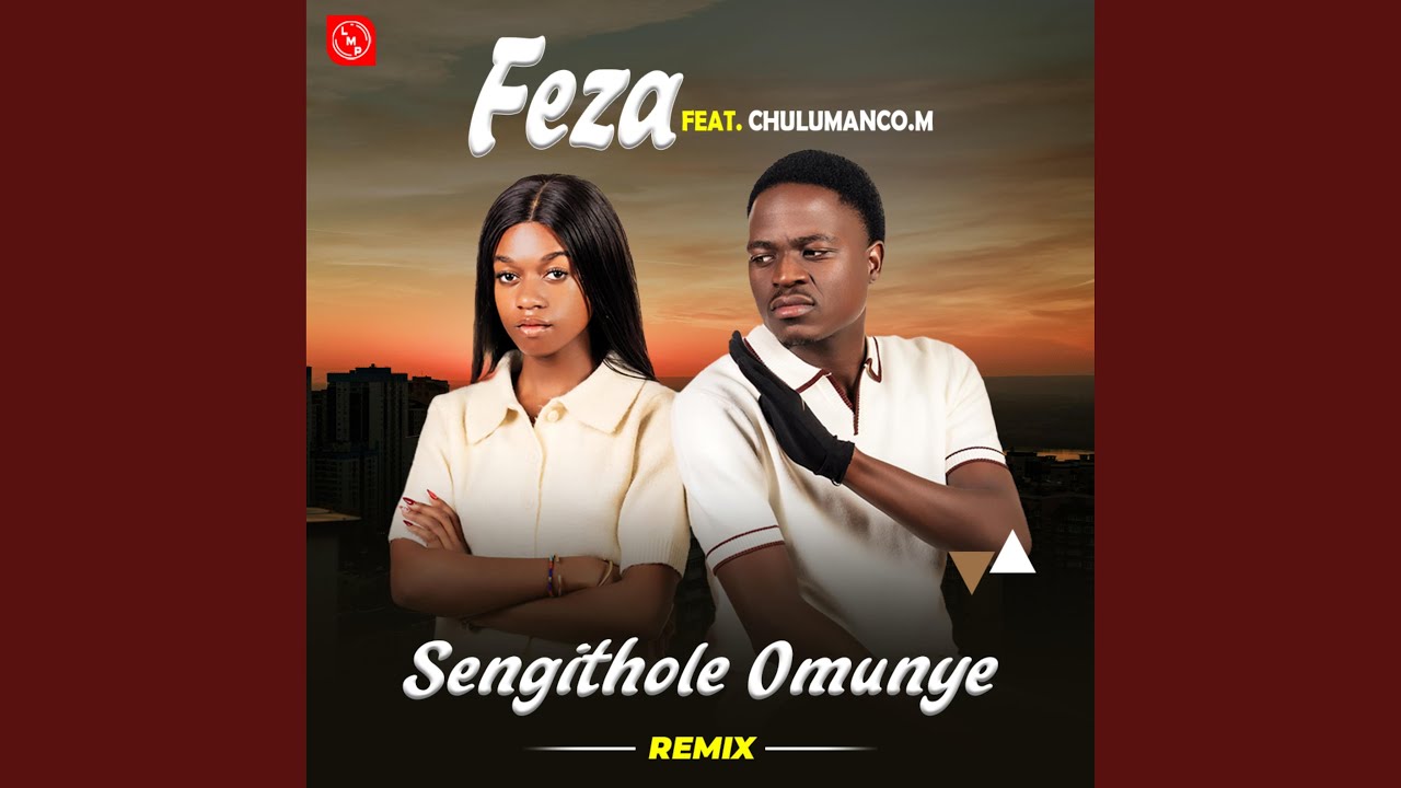 Sengithole Omunye (feat. Chulumanco M) (Remix )